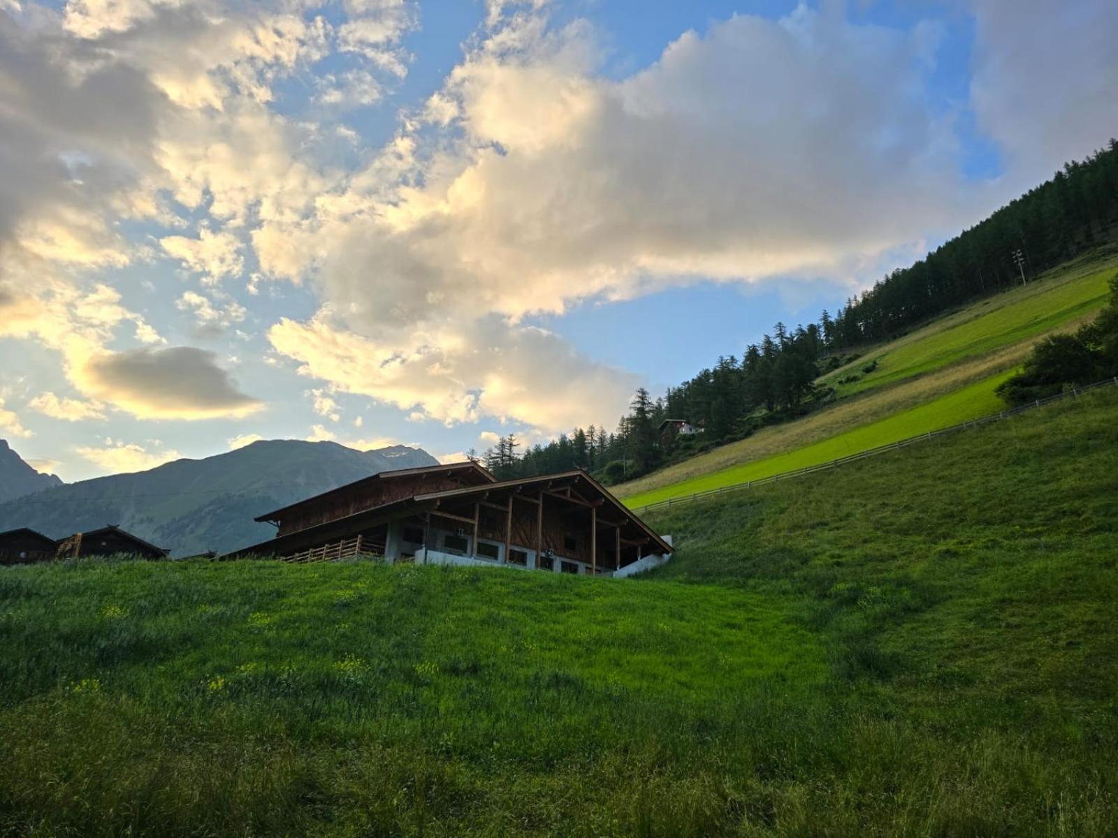 Smart Hotel Firn Madonna  Dış mekan fotoğraf